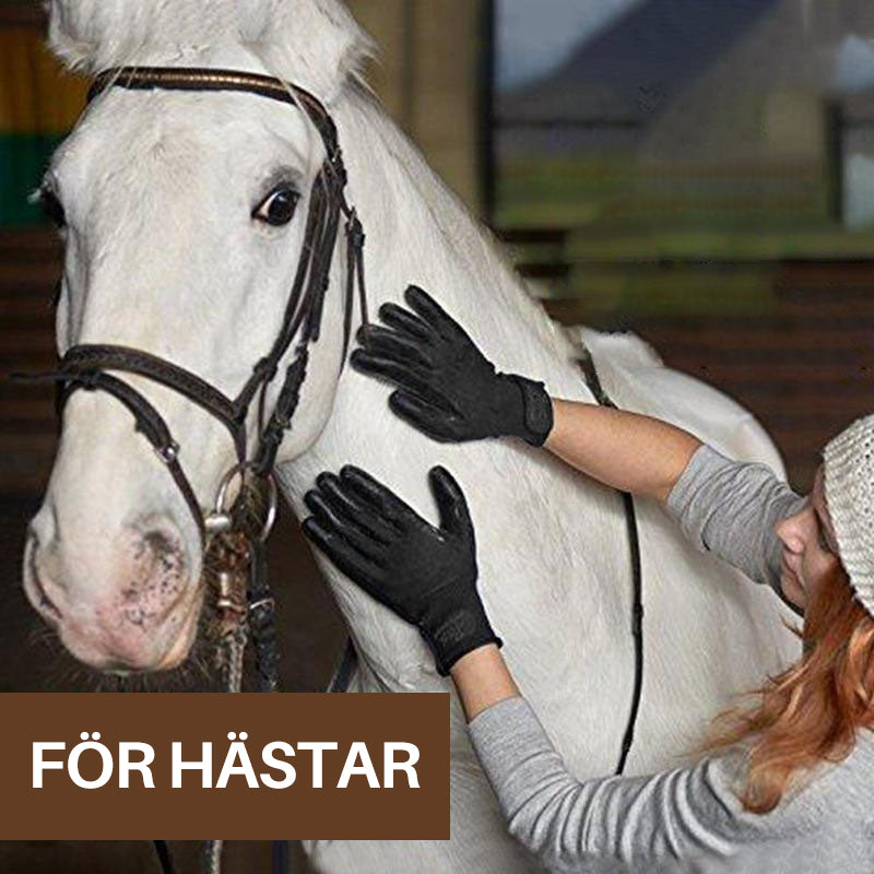 "Pälsvårdshandske med femfingersdesign för smidig pälsvård, bra grepp, löst pälshår, gummiundersida för massage."