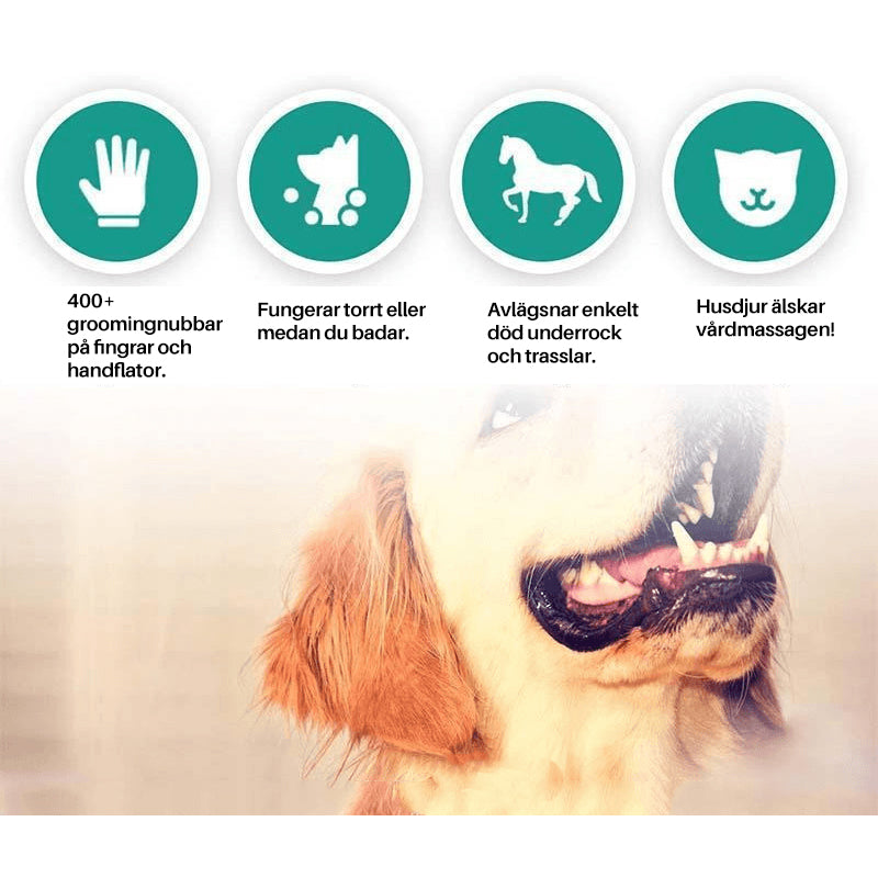 "Pälsvårdshandske med femfingersdesign för smidig pälsvård, bra grepp, löst pälshår, gummiundersida för massage."
