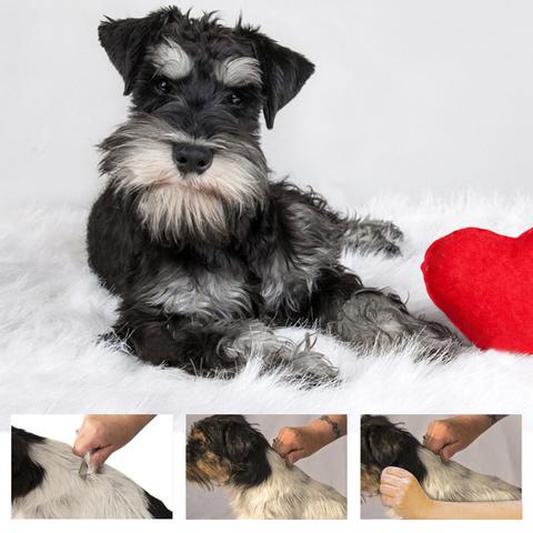 "Pet groomingkam för hundar och katter, anpassad design för höger/vänsterhand, ståltandade blad för effektiv trasselhållning.