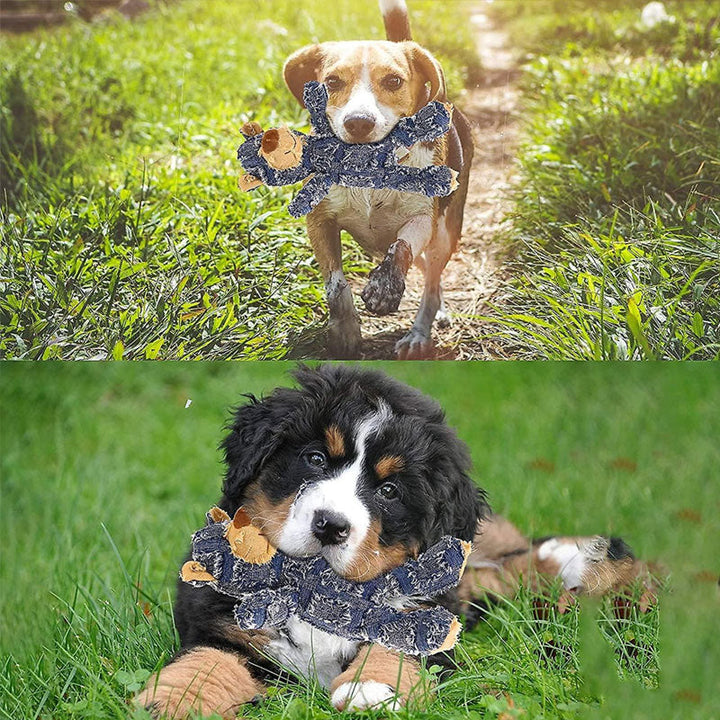 "Plyschbjörn tuggleksak för hundar, hållbar och mjuk. Blå och ljusbrun. Perfekt för aggressiva tuggare."