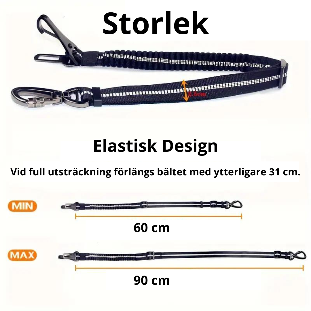 ISOFIX-kompatibelt bilbälte för hund, svart. För säker och stabil fastsättning i bilen.
