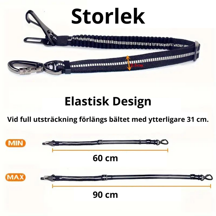 ISOFIX-kompatibelt bilbälte för hund, svart. För säker och stabil fastsättning i bilen.
