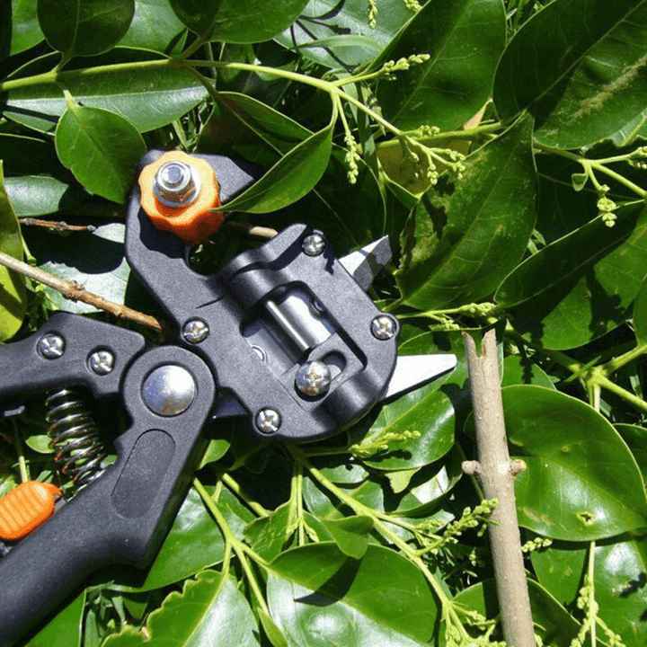 "Professionell sekatör för trädgårdsbeskärning, ergonomiska handtag, utbytbara blad för enkel grenklippning upp till 1,4 cm."