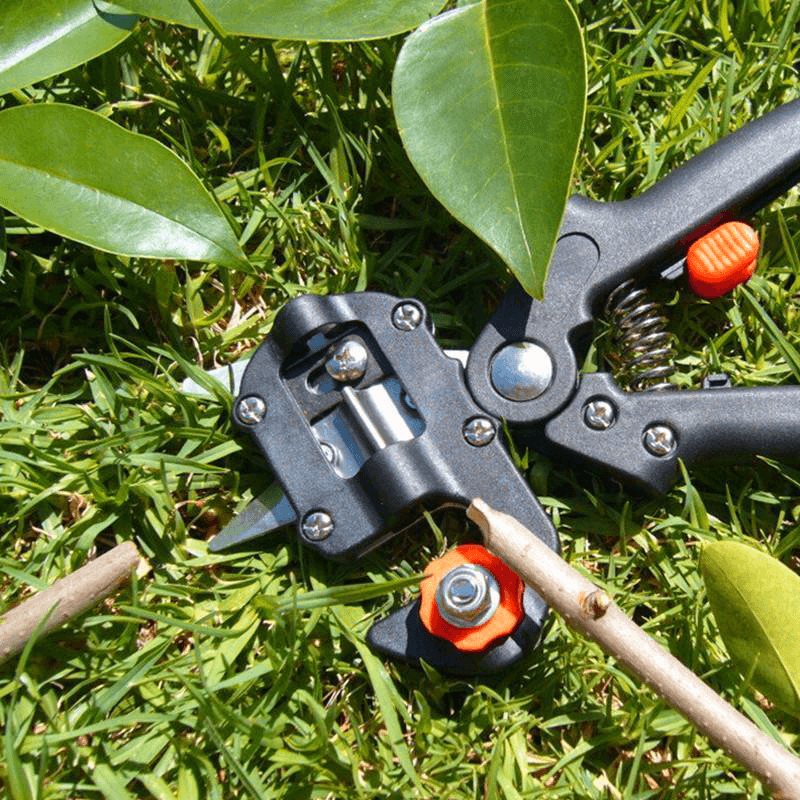 "Professionell sekatör för trädgårdsbeskärning, ergonomiska handtag, utbytbara blad för enkel grenklippning upp till 1,4 cm."