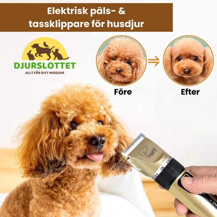 Komplett pälsvårdskit för djur; tyst klippmaskin, saxar, kammar för stressfri hund- och kattgrooming.