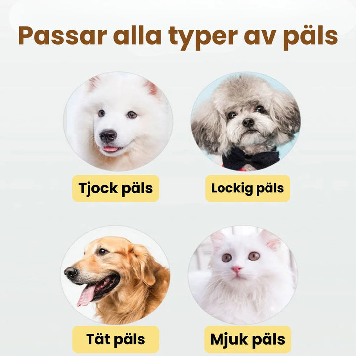 Effektivt husdjurs grooming kit med sladdlös pälstrimmer och tillbehör för komplett djurvård.
