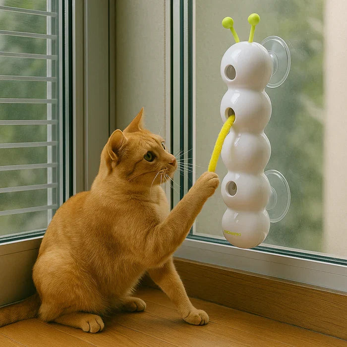 PurrWhirl interaktiv kattleksak för väggmontage. Stimulerande lek som ger din katt motion och underhållning.
