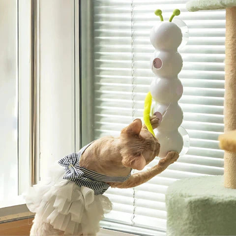 Glad innekatt leker aktivt med PurrWhirl väggmonterad kattleksak, får mental och fysisk stimulans.