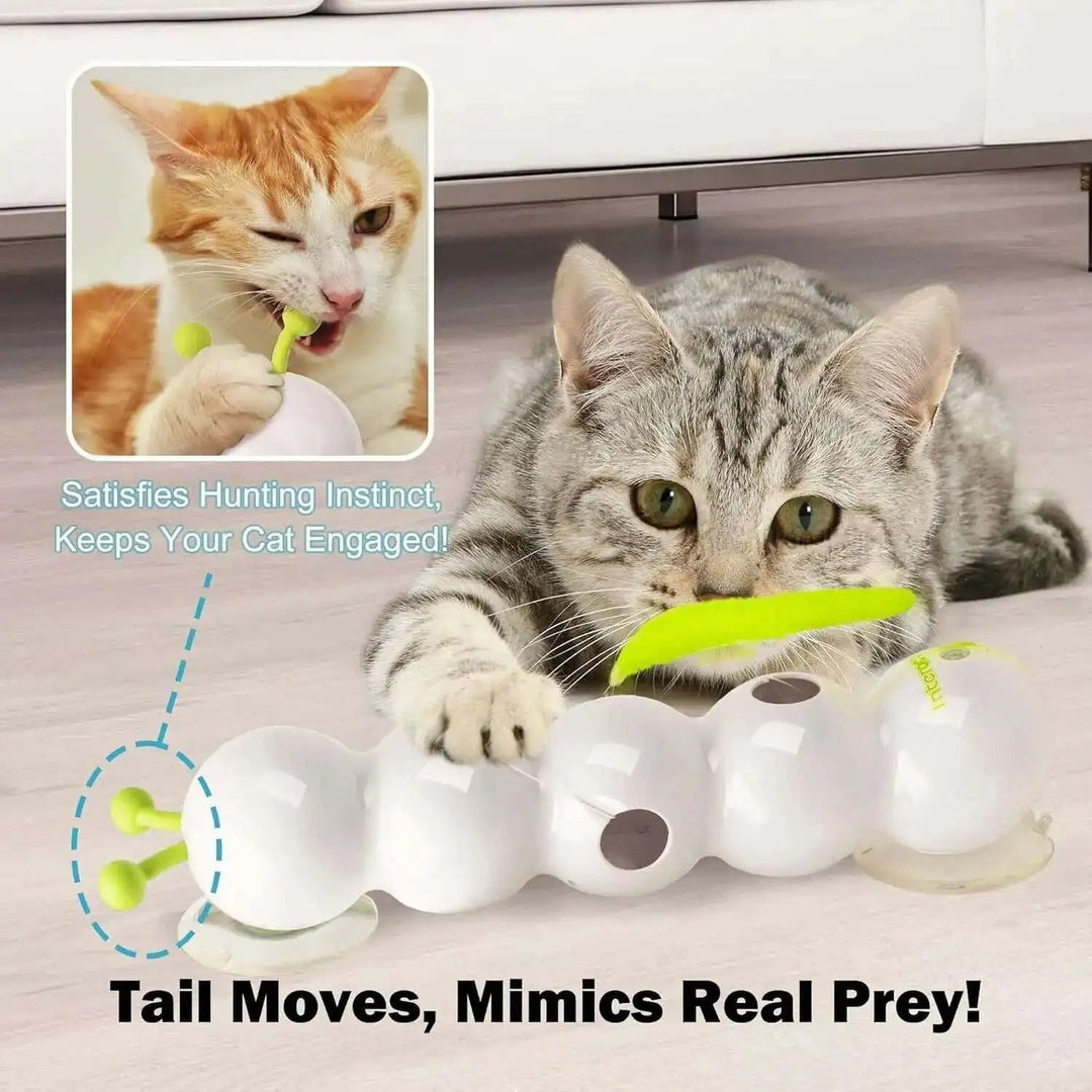 PurrWhirl kattleksak ger din katt daglig motion och mental stimulans genom rolig och interaktiv vägglek.
