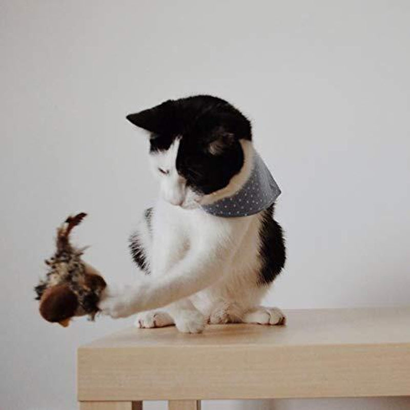 "Realistisk fågelleksak för katter med äkta fjädrar och ljudstimuli, perfekt för att hålla katten aktiv och nyfiken."