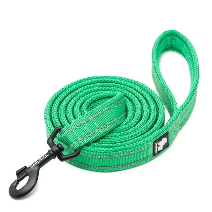 Hundkoppel med starka reflexdetaljer för synlighet i alla väder.