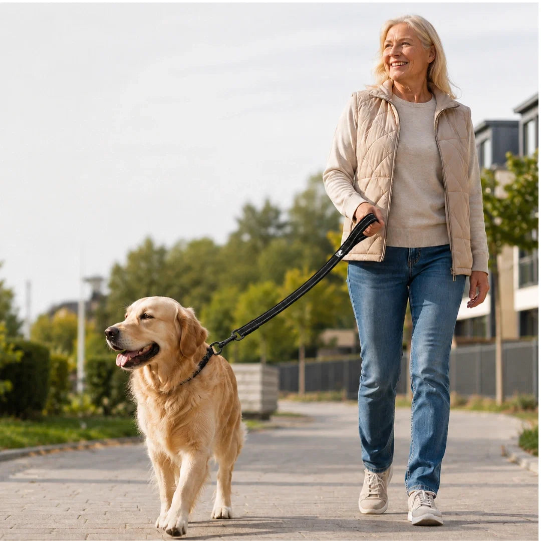 Slitstarkt reflexkoppel med hög synlighet, perfekt för säkra hundpromenader.