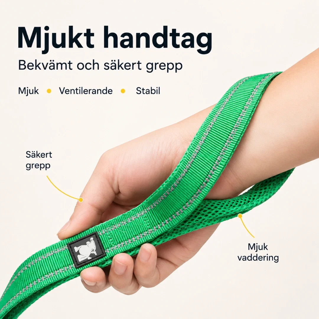 Reflexkoppel för hund, garanterar synlighet för din hund i trafiken.