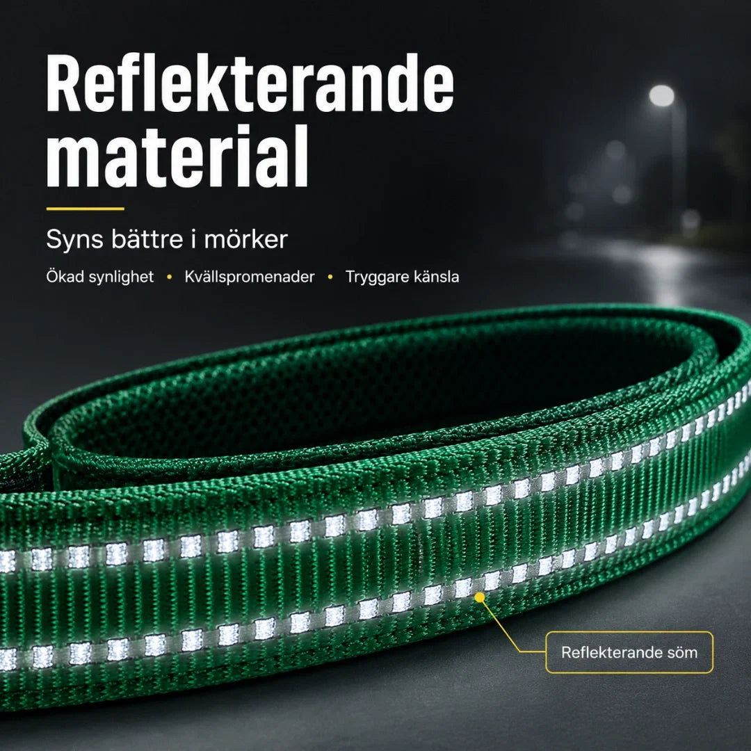 Reflekterande hundtillbehör för trygga kvälls- och morgonpromenader.
