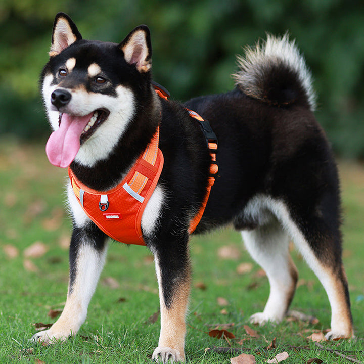 "Reflekterande justerbar hundsele i slitstarkt nylon, maximerar synlighet och komfort för säker promenad dag som natt."