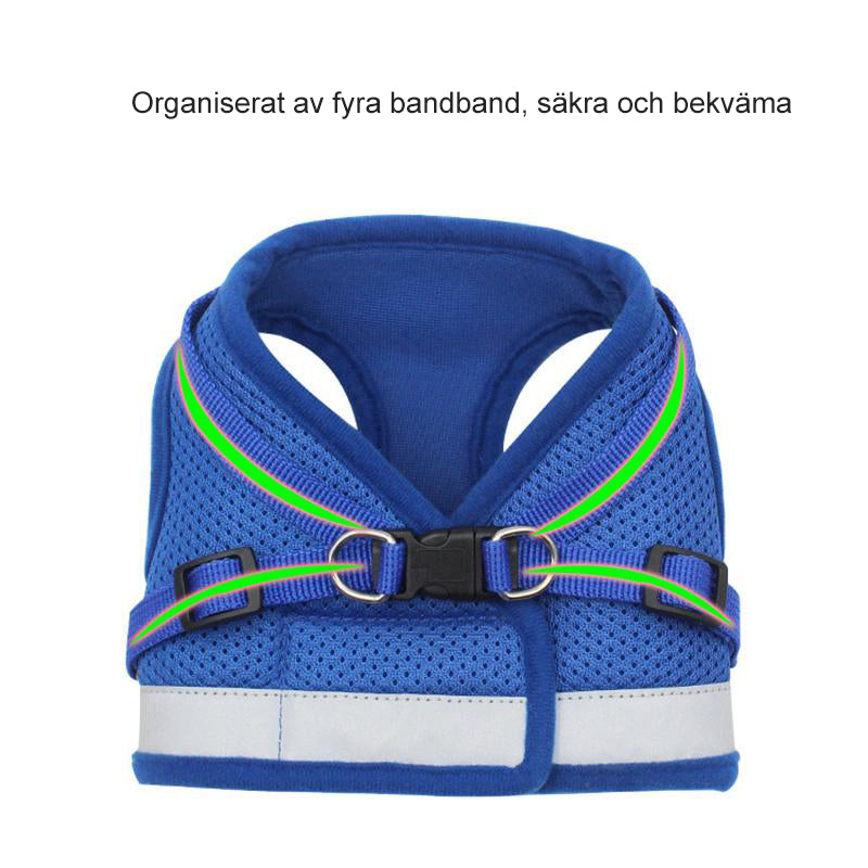 "Reflekterande justerbar husdjurssele i grått för katter och små hundar, säker och bekväm med reflekterande detaljer."