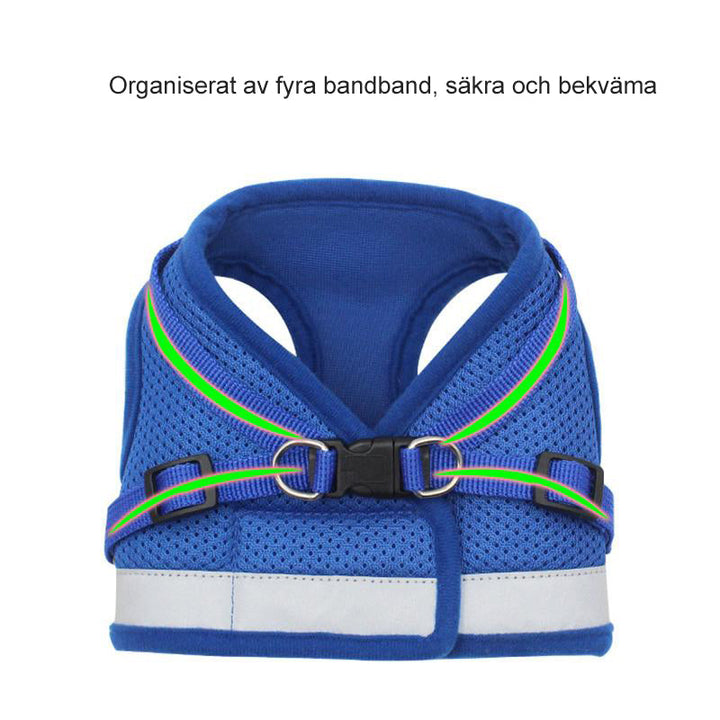 "Reflekterande justerbar husdjurssele i grått för katter och små hundar, säker och bekväm med reflekterande detaljer."