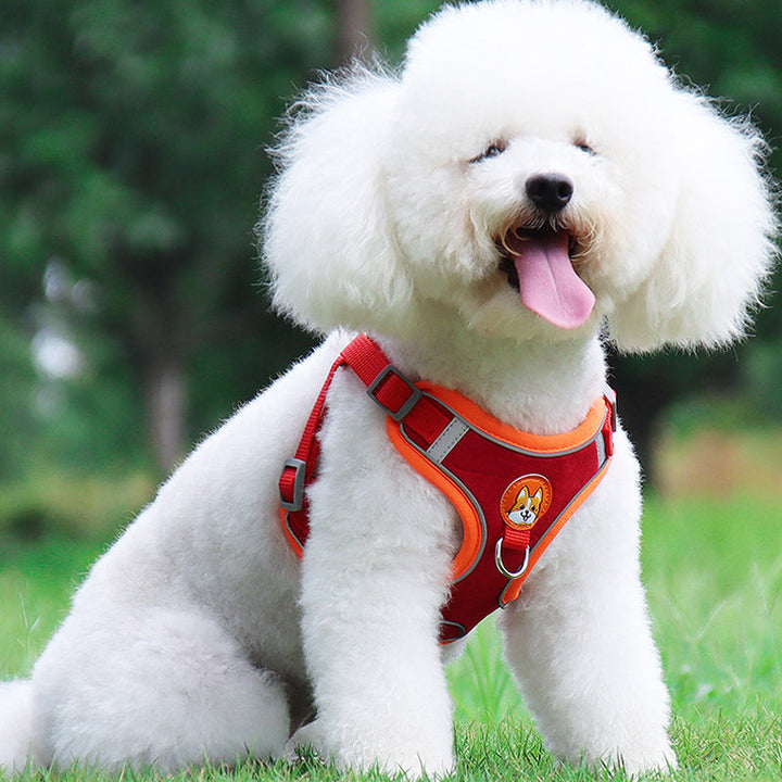 "Reflekterande justerbar husdjurssele och koppel, ljusbrun, för ökad säkerhet och synlighet vid promenader."