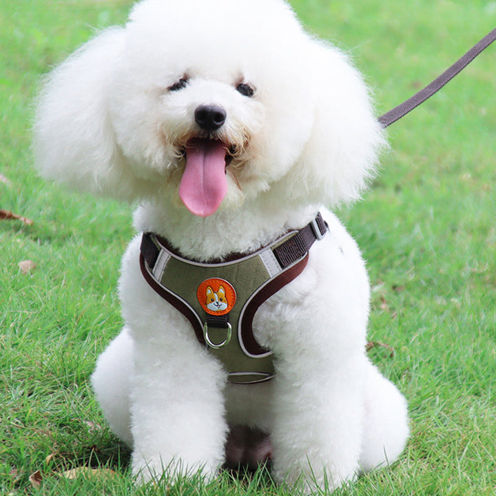 "Reflekterande justerbar husdjurssele och koppel, ljusbrun, för ökad säkerhet och synlighet vid promenader."