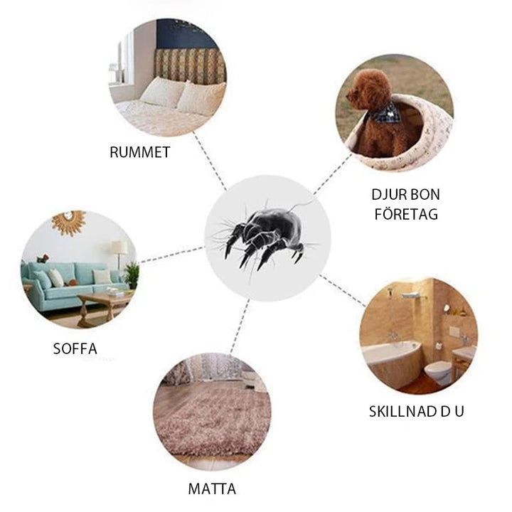 "Rektangulära dammskydd dammdynor för allergikontroll, placerade under möbler, för en allergenfri miljö utan kemikalier."