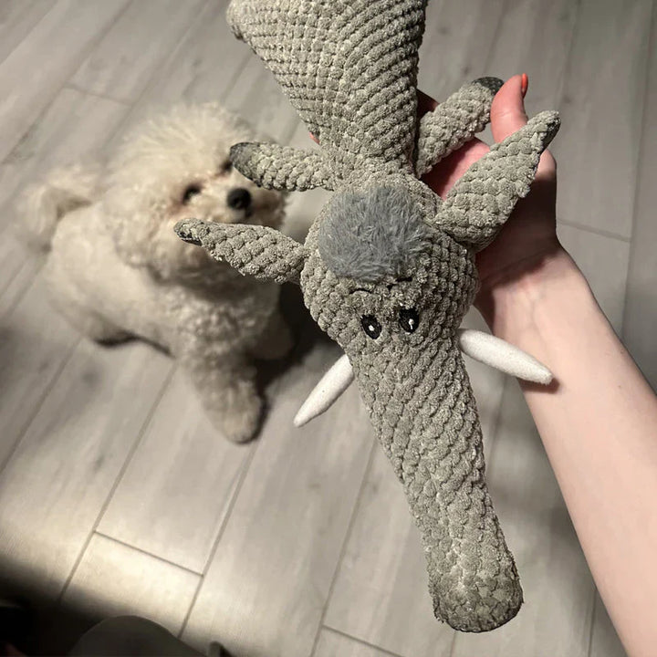 Hållbar hundleksak som ger oändlig lekglädje och stärker tänder.
