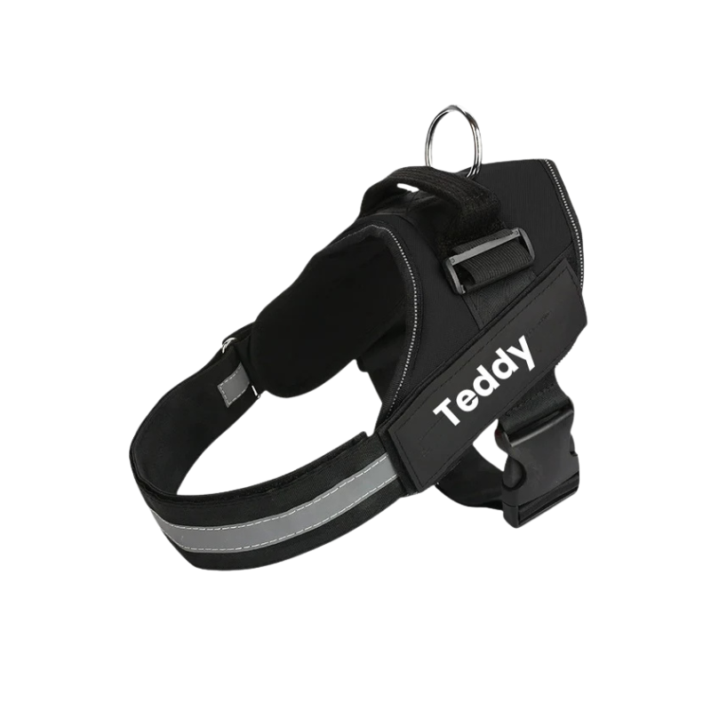 Robust svart hundsele med handtag för säker kontroll under promenaden.