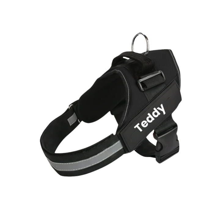 Robust svart hundsele med handtag för säker kontroll under promenaden.