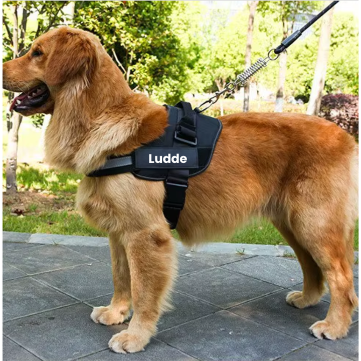 Robust hundsele med starka spännen och reflex för säkra promenader med din hund.