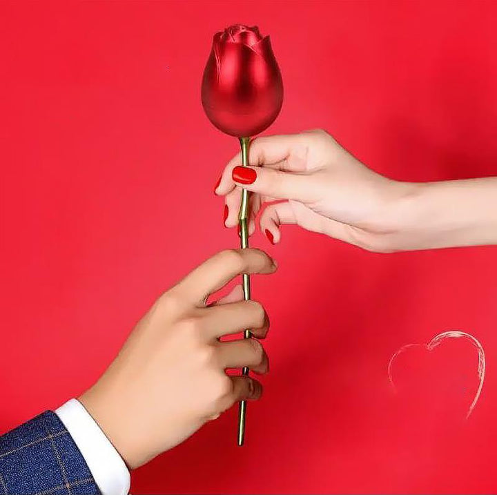 "Romantiskt ros halsband i hjärtform med röd ros, perfekt för Alla Hjärtans Dag gåva, elegant smyckesset, kvinnors accessoar"