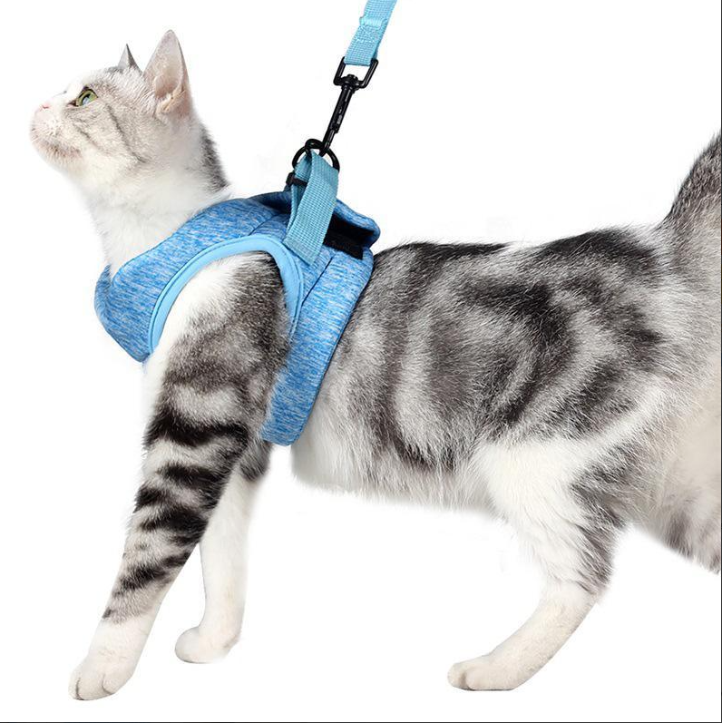 Säker och bekväm kattsele med koppel för trygga promenader utomhus. Justerbar passform för din katt.