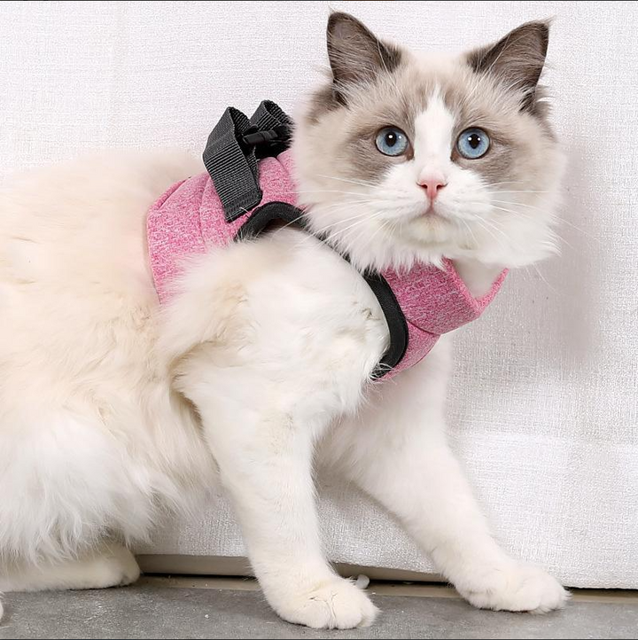 Kattsele med koppel i hållbar design för dagliga promenader. Ger din katt frihet och säkerhet utomhus.
