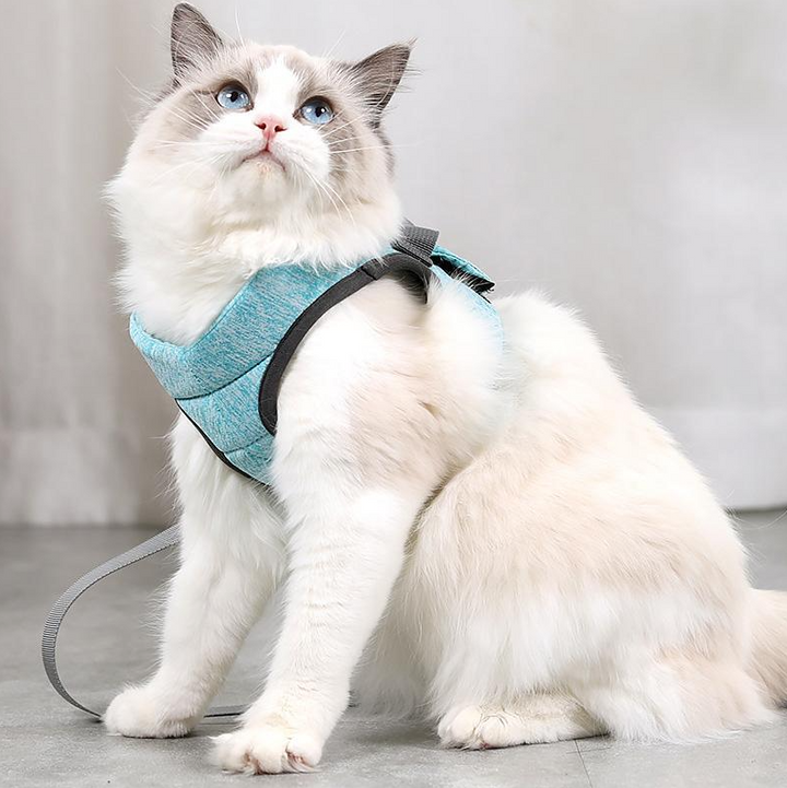 Komplett set: kattsele och matchande koppel. Ett oumbärligt kattillbehör för trygga och roliga promenader.