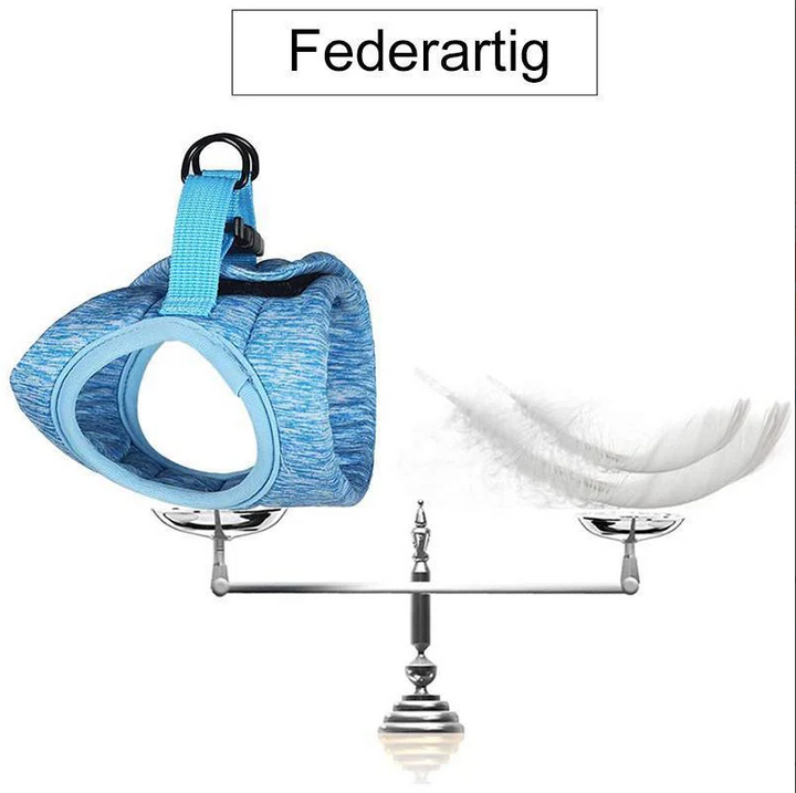 Kattsele och koppel för säkerhet under promenader. Förhindrar rymning och ger kontroll åt din katt.