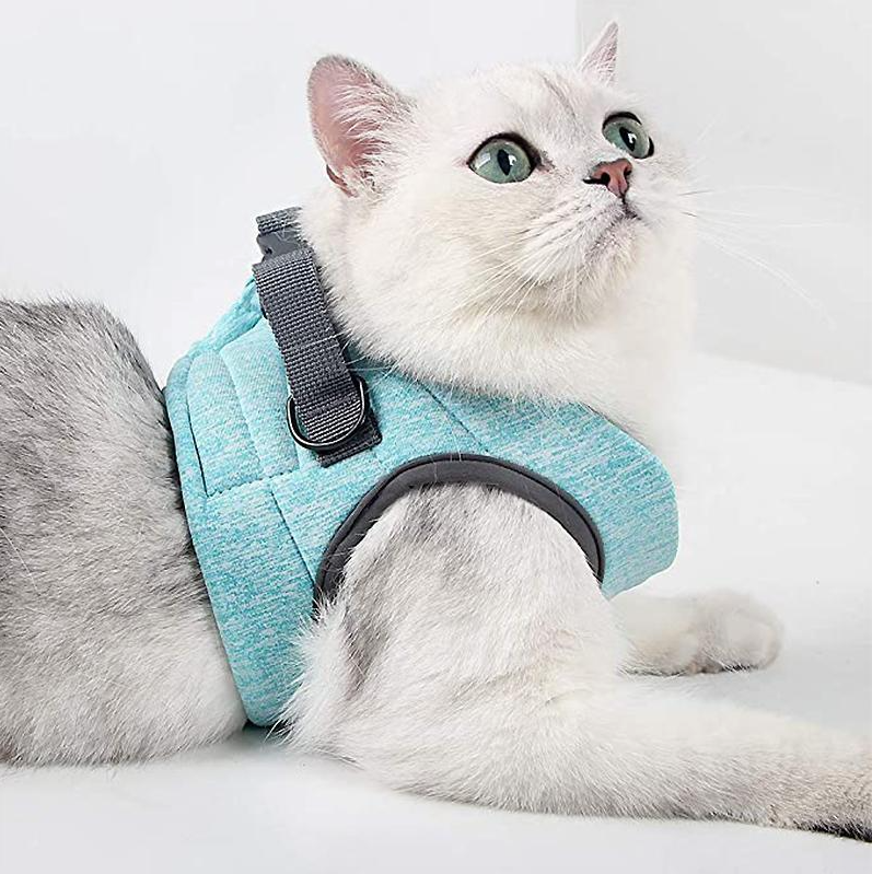 Bekväm kattsele med mjuk stoppning och justerbart koppel för behagliga utomhusäventyr för din katt.