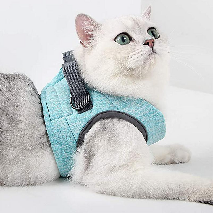 Bekväm kattsele med mjuk stoppning och justerbart koppel för behagliga utomhusäventyr för din katt.