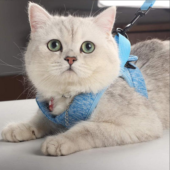 Hållbar promenadsele för katt med medföljande koppel. Optimal för säker och bekväm utomhusvistelse.