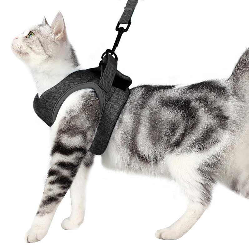 Säker och bekväm kattsele med koppel, designad för att maximera både trygghet och njutning vid promenader.