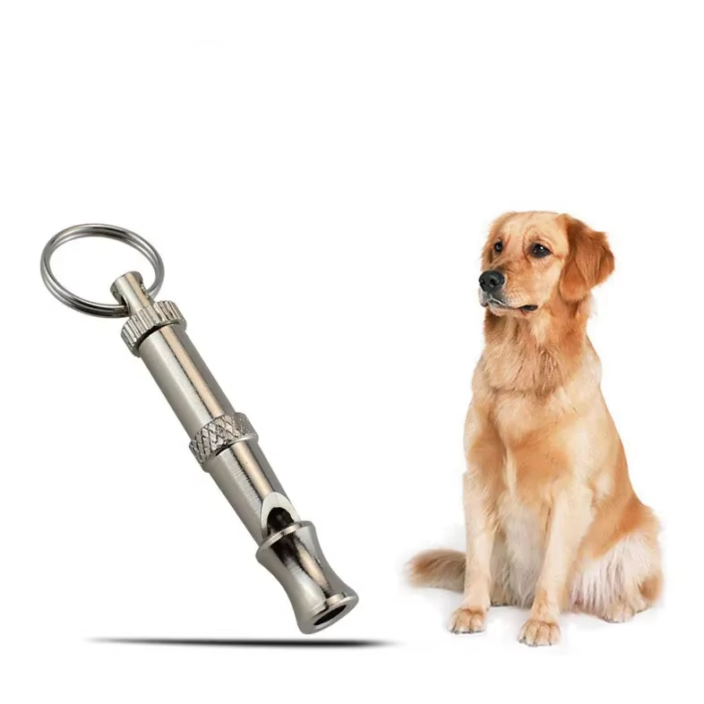 Uppmärksam hund i utomhusmiljö, tränas med ultraljuds hundpipa för förbättrad lydnad och återkallning.