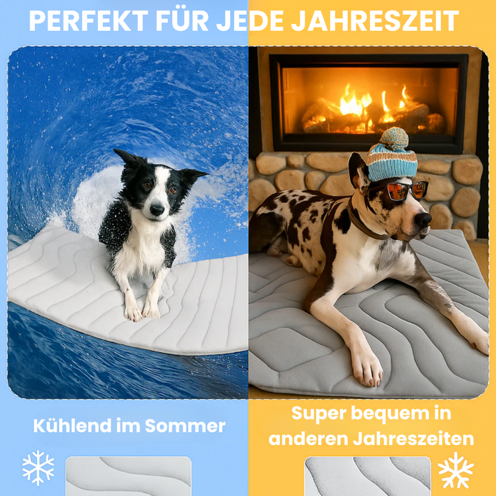 Hund ligger bekvämt på blå kylmatta: Ger svalka och välbefinnande för husdjur under sommaren.