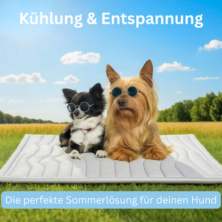 Kylmatta för hund på terrass: Perfekt för sommarvärme, hjälper hunden att hålla sig sval utomhus.