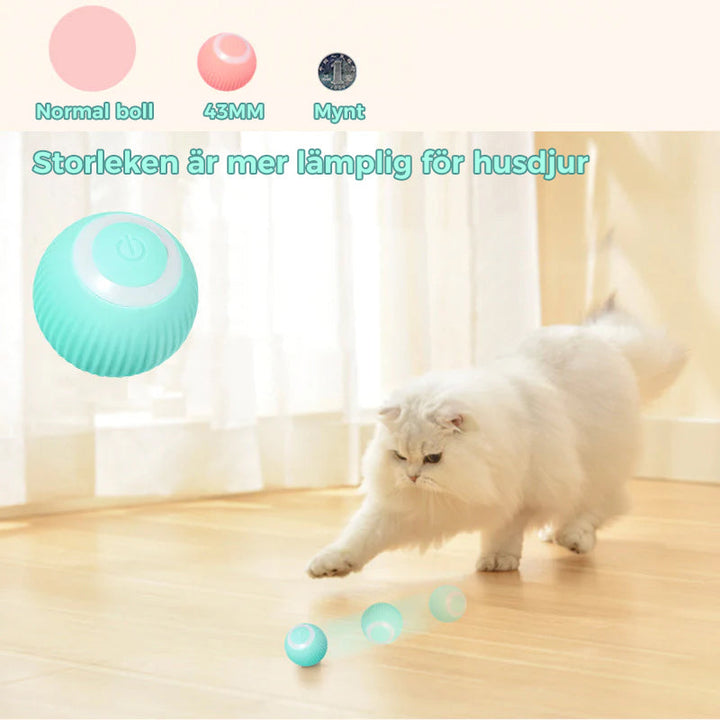 "Självrullande interaktiv kattboll i blått, rosa - Håller katten aktiv med automatisk rullning och blinkande ljus."
