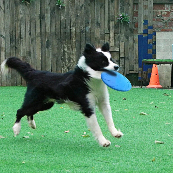 Slitstark hundfrisbee för aktiv utomhuslek, hundträning och apport. Perfekt hundleksak.