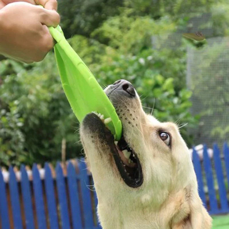 Hundtillbehör: En hållbar hundfrisbee för rolig utomhuslek och hundträning. Fantastisk kastleksak.