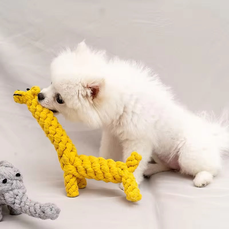 Hundens slitstarka plyschleksak, perfekt för intensiv lek och tugg. Passar valp och liten hund.