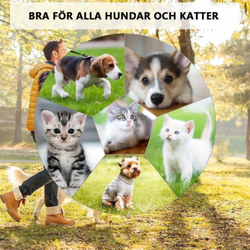 "Smärtfri elektrisk kam för husdjur, elegant design, enkel att använda för att ta bort tovor i pälsen av hundar och katter."