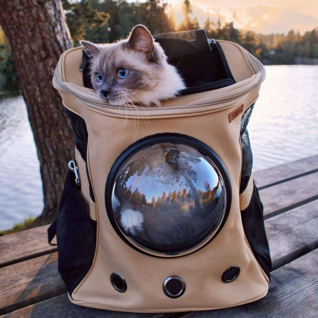 Modern kattryggsäck för enkel djurtransport. Bär din katt bekvämt på ryggen med denna bubbelväska.