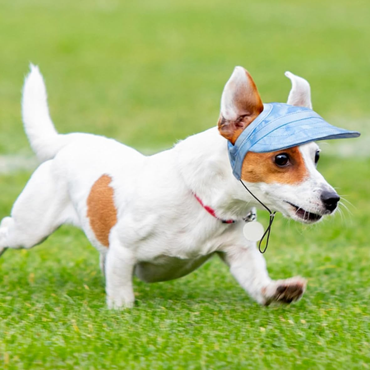 "Solskyddande hundhuva i färggrann canvas, justerbar med öronhålsdesign för skydd och komfort vid utomhusaktiviteter"