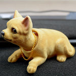 Chihuahua