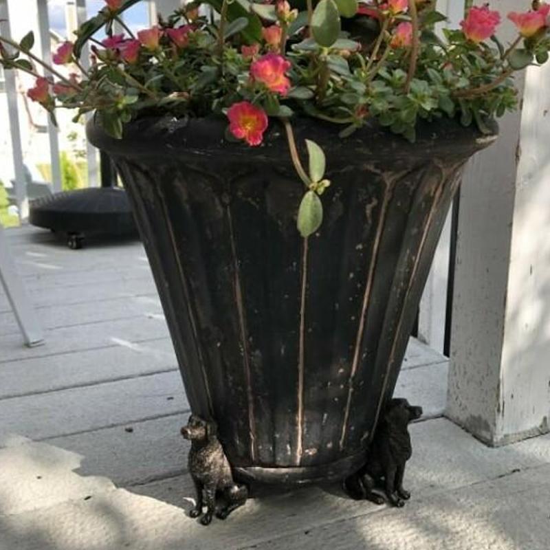 "Söta djurformade pottfötter i harts, tre djurmotiv; förbättrar dränering och luftcirkulation, dekorativ och funktionell."