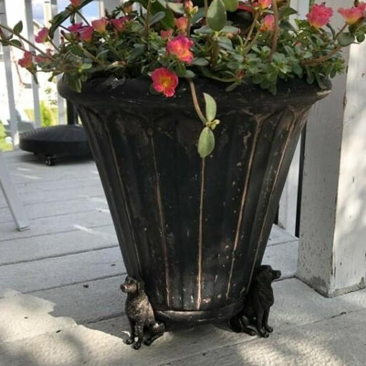 "Söta djurformade pottfötter i harts, tre djurmotiv; förbättrar dränering och luftcirkulation, dekorativ och funktionell."